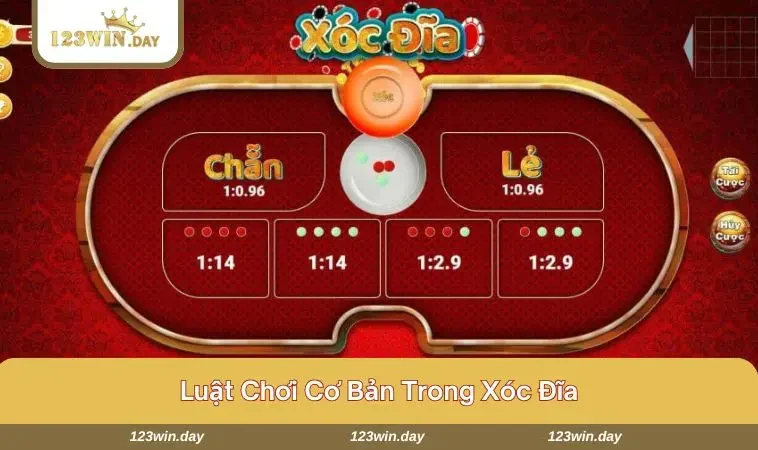 Bàn chơi xóc đĩa với các cửa cược phổ biến