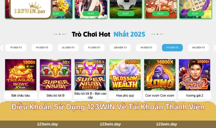 Hội viên cần cung cấp thông tin chính xác khi thiết lập tài khoản