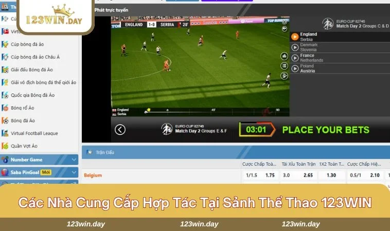 Nhà cái chỉ hợp tác với các nhà cung cấp uy tín hàng đầu